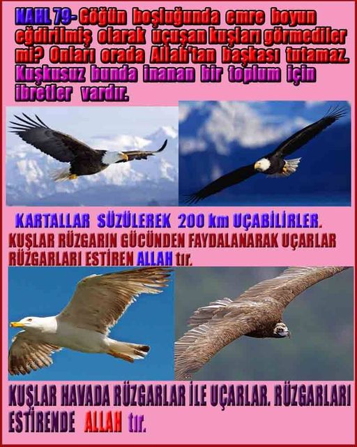 allahin-delilleri, allahin delilleri, allah delilleri, allahin varliginin delilleri, allah var, allahin delilleri nelerdir?