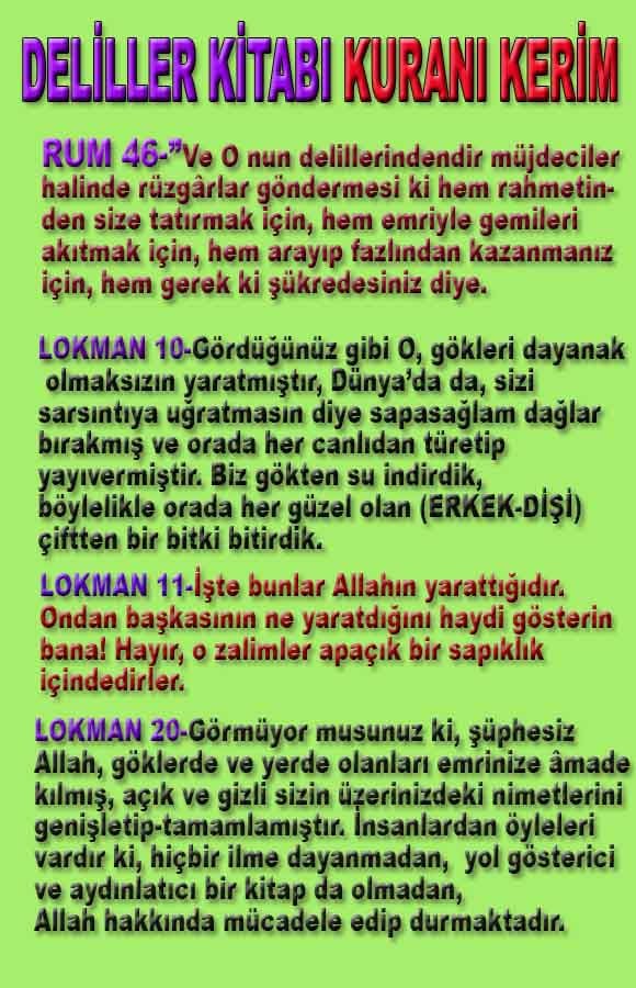 allahin-delilleri, allahin delilleri, allah delilleri, allahin varliginin delilleri, allah