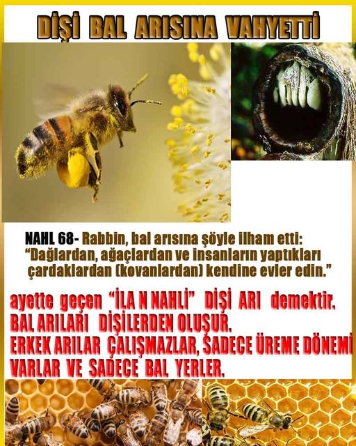 allahin-delilleri, allahin delilleri, allah delilleri, allahin varliginin delilleri, allah